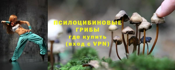 кокс Бородино
