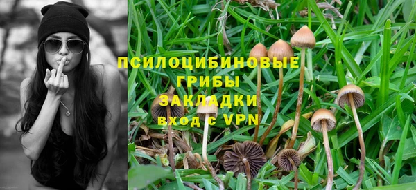 кокс Бородино