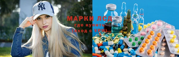 кокс Бородино